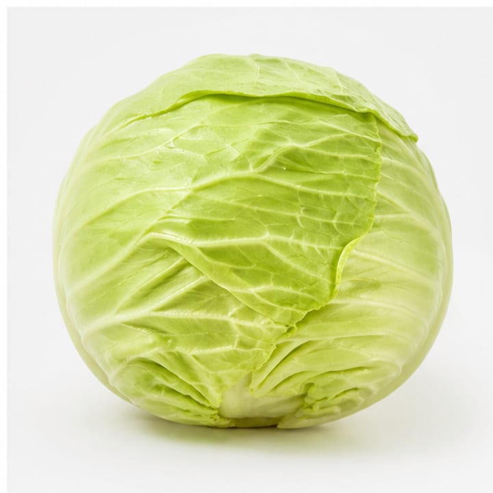圆白菜